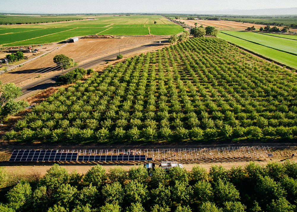agricultural solar 