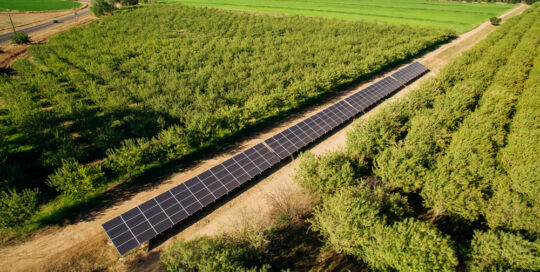 massa organics agricultural solar panel installation