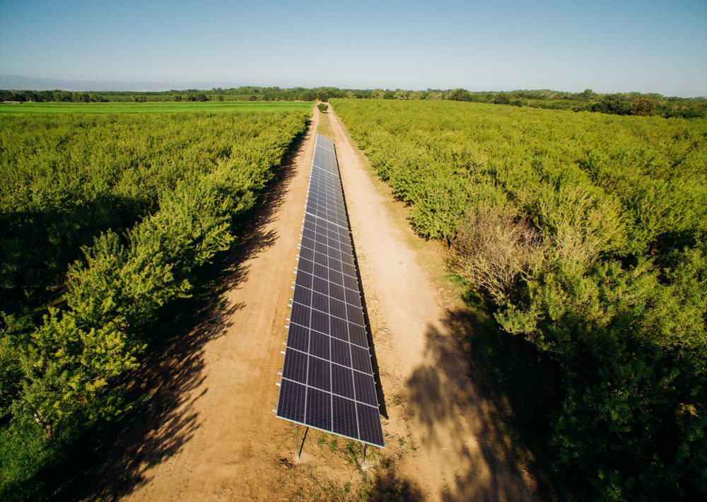 agricultural solar 